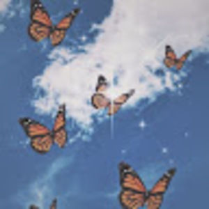 Meet your Posher, Leyla